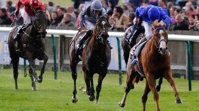 Dawn Approach impressed in the mile-long 2,000 Guineas Stakes win at Newmarket but will be stepping up by four furlongs and 10 yards in distance today. Alan Crowhurst / Getty Images