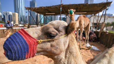 Emirati arts and culture are at the heart of the festival