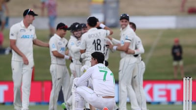 New Zealand celebrate their victory after taking the final wicket of Pakistan's Naseem Shah. AFP