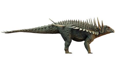 A reconstruction of the Spicomellus based on the fossils. Reuters