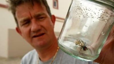 DUBAI, UNITED ARAB EMIRATES ? May 5, 2011: Alan Hopps showing the redback spider in his home at the Villa in Dubai. (Pawan Singh / The National) For News. Story by Carol