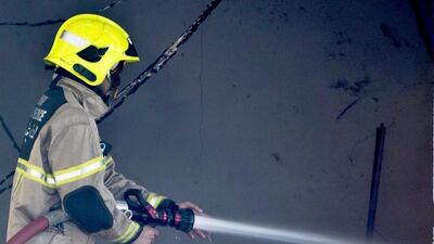 Picture clue for 46. Antonie Robertson/The National