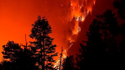 The Bobcat Fire burns near Cedar Springs in the Angeles National Forest in Los Angeles, California. The fire, which erupted on September 6 in the Angeles National Forest, has become one of the largest fires in Los Angeles County's history with over 100,000 acres scored by the fire. AFP