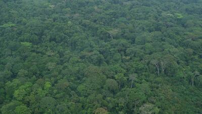 Created in 1970 by former dictator Mobutu Sese Seko, it was inscribed in 1984 on the World Heritage List and in 1999 in the List of World Heritage in Danger