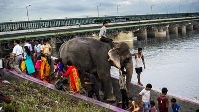 Septemder 2, 2014. An elephant walks down a steps and passes Hindu worshippers on the 5th day of the Ganesh Chaturthi religious festival.