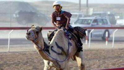 Only Emirati children rode camels at the Sweihan festival last month, officials said yesterday.