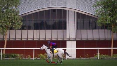 A training jockey rides California Memory, one of the Hong Kong horses in the Dubai World Cup, for a morning gallop.