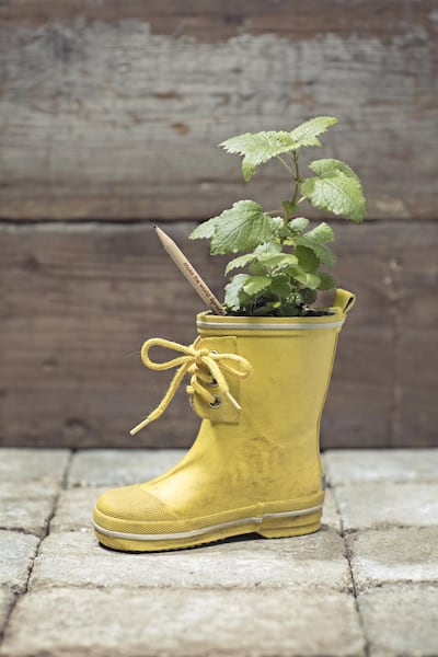 Sprout is the Danish start-up company behind the original plantable pencil. Courtesy: Sprout