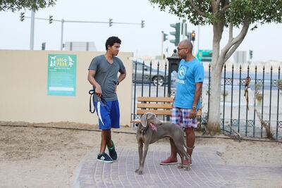 Dog owners at the Greens Dog Park in Dubai. Sarah Dea/The National
