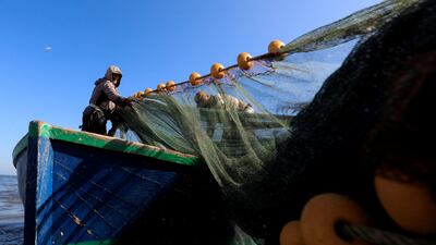 An Egyptian fisherman raises his nets in Port Said city, northeast of Cairo. All photos: Reuters