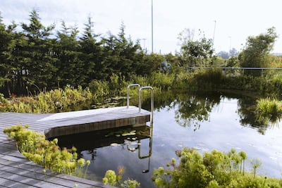 Cape Town's Hotel Verde was the first in the country to offer100% carbon-neutral accommodation. Courtesy Hotel Verde
