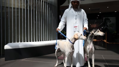 A visitor brings Saluki hunting dogs at Adihex