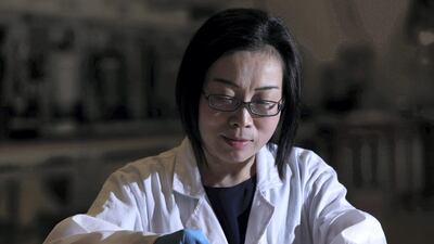 Linda Zou, a professor of chemical and environmental engineering at Khalifa University, is one of 2,500 residents granted a 10-year residency visa. Chris Whiteoak / The National