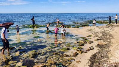 People and children comb a rock pool near Libya's capital Tripoli. AFP