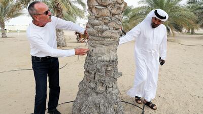 Brent Clothier, left, says that by using sap-flow monitoring, they were able to measure how much water a date palm tree used. Photos by Pawan Singh / The National