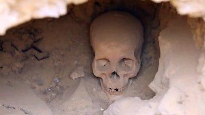 A human skull sits at an excavation site in front of the Giza pyramids. Scholars now believe that modern man first settled on the Arabian Peninsula before migrating to the rest of the world.