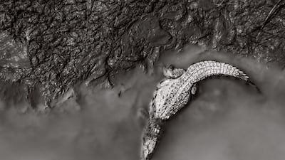 Andres Novales, Guatemala, shortlist, Latin America National Awards, Sony World Photography Awards 2023