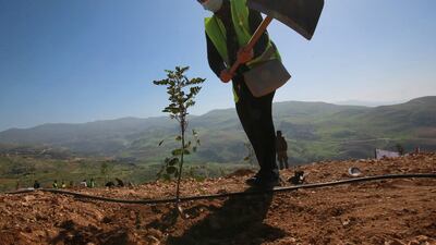 Jordanians take part in the planting of eucalyptus and carob saplings near the forest of Kufranjah, north of Amman, in February. Khalil Mazraawi / AFP