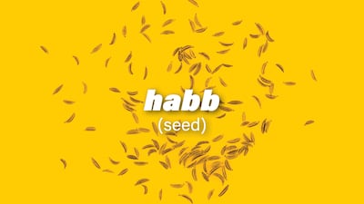 Habb is the Arabic word for seed