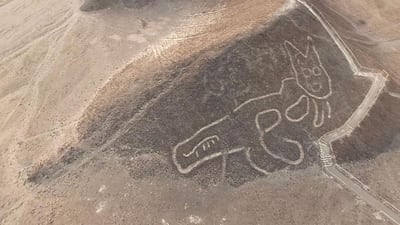 A giant cat etched into a slope at the Unesco World Heritage Site in the desert near the town of Nasca in southern Peru. AFP