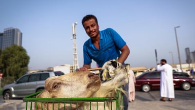 Livestock delivery boy Michell- 23 from Egypt, crosses the street to the public slaughter house with a couple of goats to be processed.