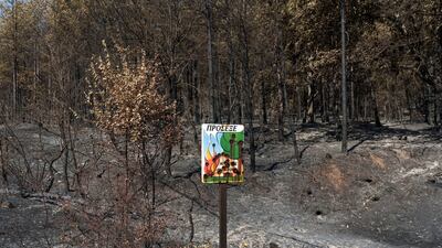 A fire hazard warning sign against the backdrop of charred trees