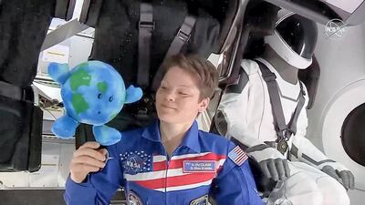 Anne McClain took pictures of Earthy around the station, capturing wide interest on social media. Anne McClain / Nasa