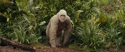 A scene from 'Rampage'. Courtesy Warner Bros. Pictures