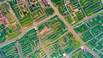 An aerial view of Qianduo rapeflower fields in Xinghua in China's eastern Jiangsu province. AFP