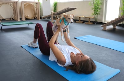Groomy Pets offers a dedicated space where pet owners and pets can work out. Victor Besa / The National