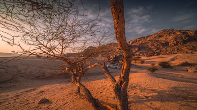 The Nature Along the Coast category showcases the beaches and mountainous coast of Al Wajh