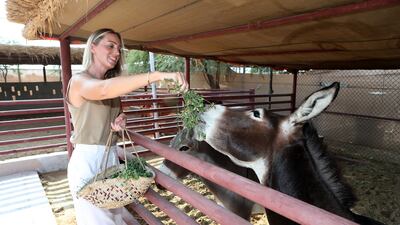 The 36 year old oversees the animal community that includes tortoises, rabbits, donkeys, goats, turkeys and chickens