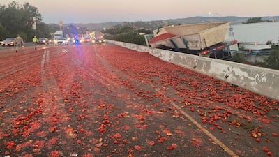 Tomatoes cover a motorway after a crash caused the contents of a lorry to spill across the central divide in Vacaville, California. Reuters