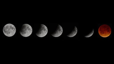 A composite picture shows the blood moon total lunar eclipse in seven stages as seen from Miami, Florida, USA. Rhona Wise / EPA April 15