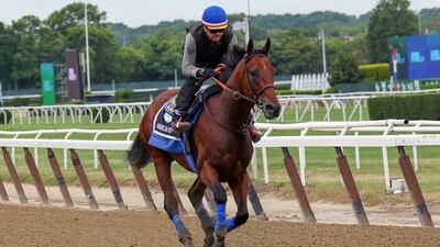 American Pharoah goes through a morning workout with exercise rider Jorge Alvarez on Thursday ahead of Saturday's Belmont Stakes. Anthony Gruppuso / USA Today Sports / June 4, 2015