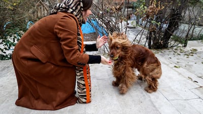 A woman plays with her dog in a yard near her house in northern Tehran.