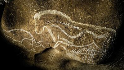 A view of paintings on the rock walls of the Chauvet cave, on June 13, 2014 in Vallon Pont d’Arc, southeastern France. UN cultural agency UNESCO on Sunday granted its prized World Heritage status to a prehistoric cave in southern France containing the earliest known figurative drawings. AFP