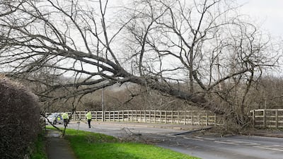 A fallen tree blocks a road in Tenby. Reuters
