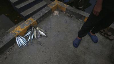 A fisherman stands next to his catch on a wharf near Penagi on Natuna Besar. Natuna fish stocks plummeted with the arrival of big-net trawlers from China, Vietnam, Thailand and Taiwan. Tim Wimborne / Reuters