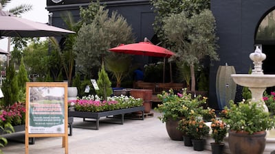 Dubai Garden Centre has a new branch in Jumeira 1, opposite Town Centre. Reem Mohammed / The National