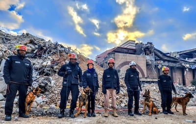 Six trainers and four dogs from Dubai Police's K9 Unit assisted earthquake rescue efforts in Turkey. Photo: Dubai Police