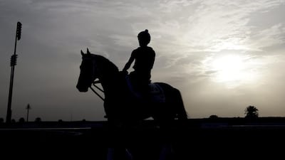 The sport of horse racing occupies a special place in the hearts of Emiratis. Ali Haider / EPA