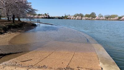 Part of the sidewalk near the Jefferson Memorial is covered in water during high tide at the Tidal Basin in Washington. AP