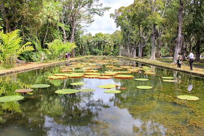 Mauritius. Getty Images