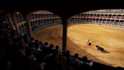 Spanish bullfighter Cayetano Rivera takes part in a contest at the traditional Goyesca event held at the arena in Ronda, southern Spain. Daniel Perez/EPA