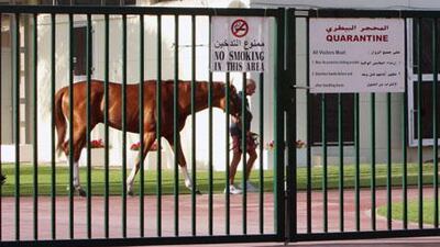 The International Stables are the equine quarantine facilities for horses that come to Dubai from other countries.