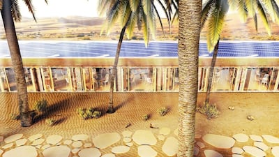 Landscaping will capitalise on local plants and trees that require little water. Courtesy Oasis Eco Resort