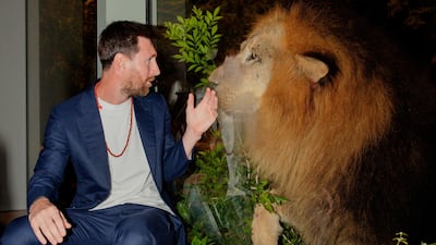 Argentina and Inter Miami's Lionel Messi interacts with a lion at Vantara animal rescue centre in Jamnagar, Gujarat, during the footballer's India tour. Reuters
