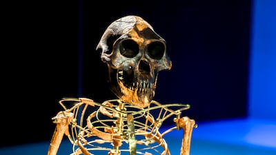 A video display shows a reconstruction of Lucy and what she would look like. Victor Besa / The National