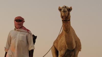 Delores Johnson / The National